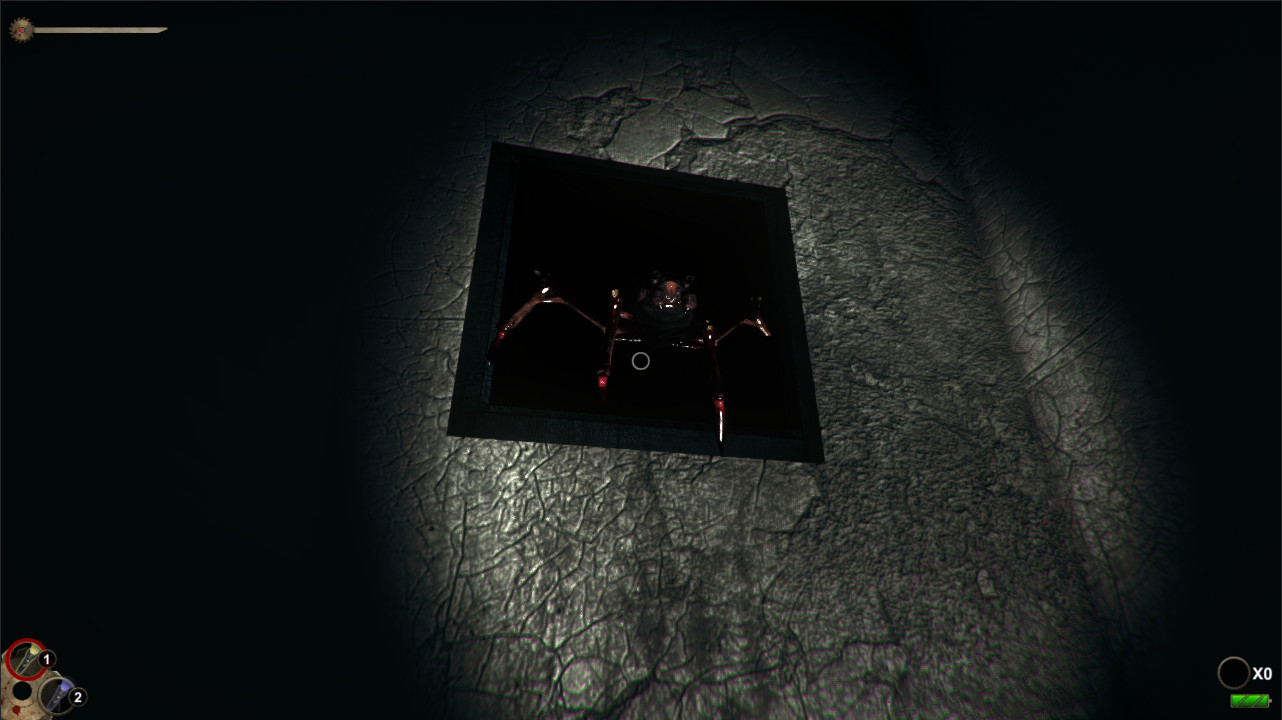 Horror in the Asylum