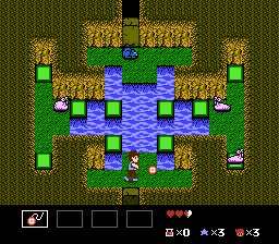 StarTropics
