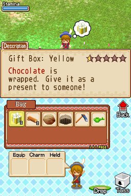 Harvest Moon DS: Grand Bazaar