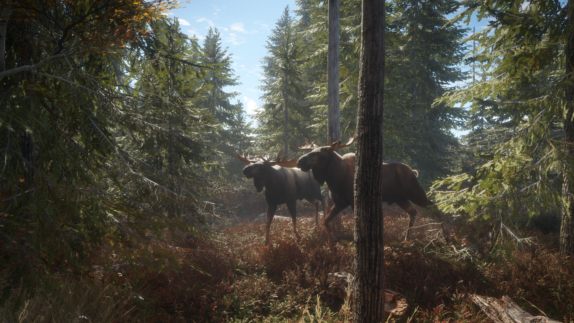 TheHunter: Call of the Wild
