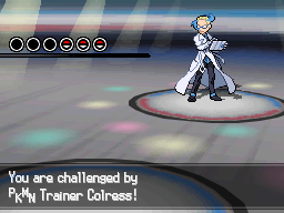 Pokémon Black Version 2
