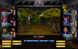 Wizardry: Crusaders of the Dark Savant