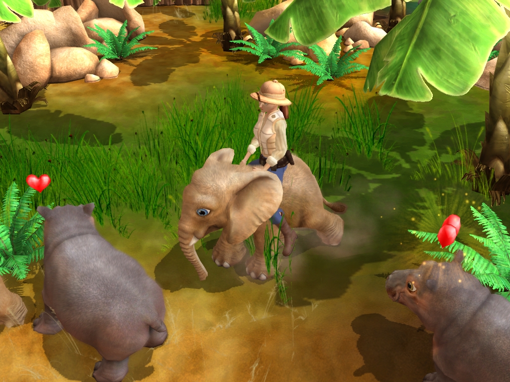Wildlife Camp