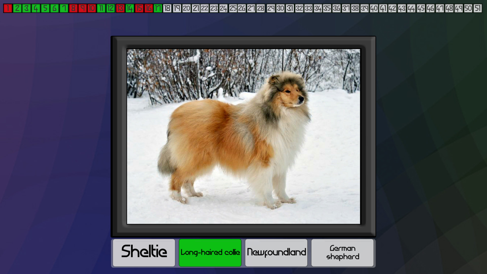 Test your knowledge: Dogs