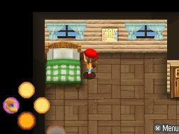 Harvest Moon DS: Sunshine Islands