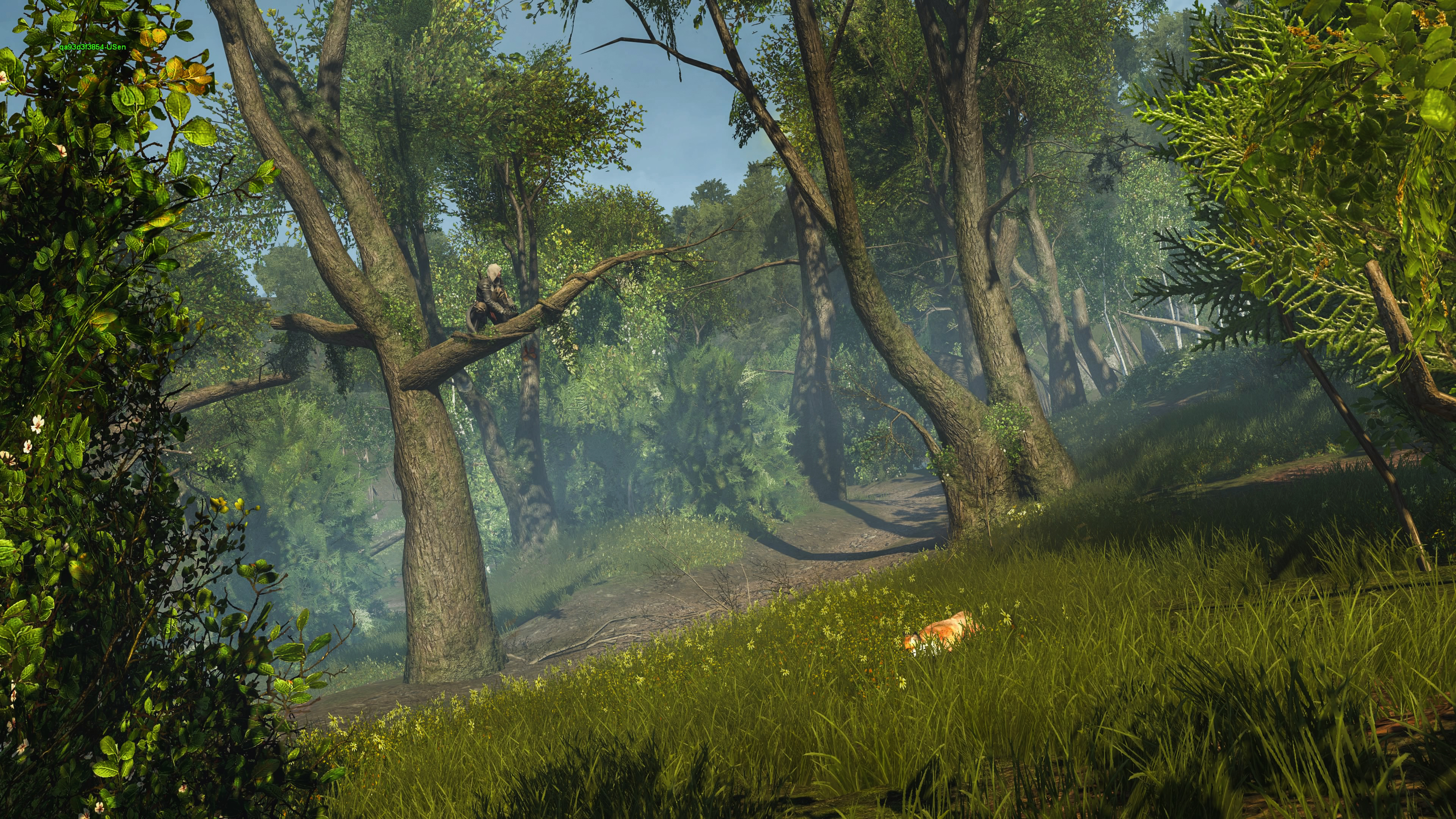 Assassin’s Creed: Rogue Remastered