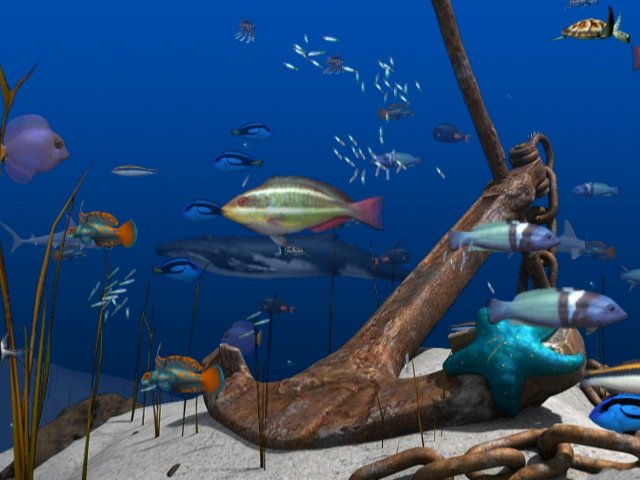 Big Kahuna Party