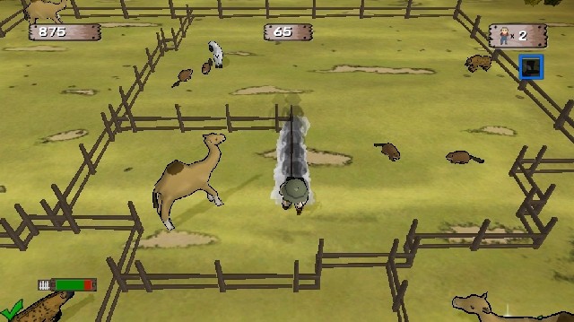 Critter Round-Up