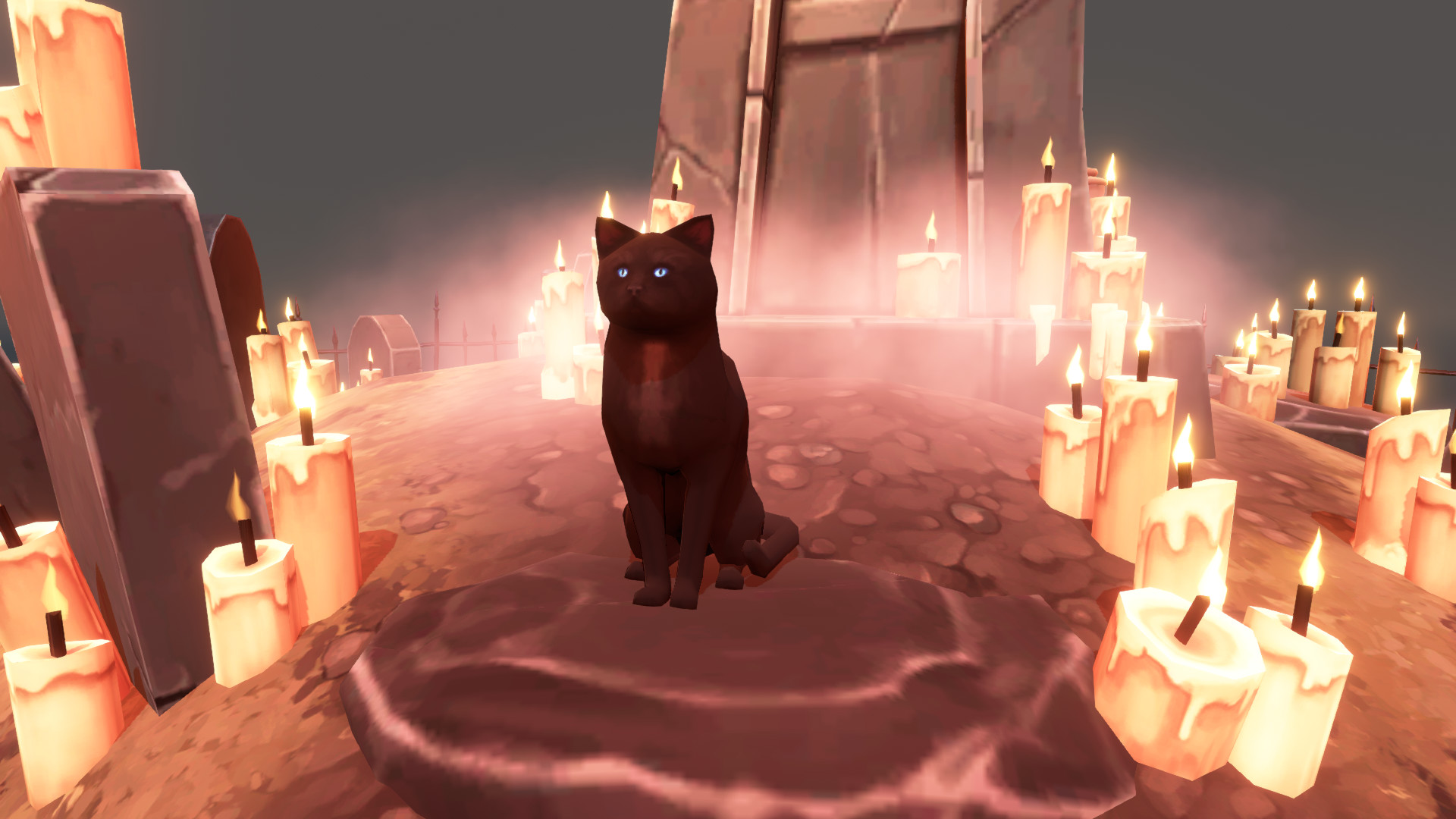 Hidden Paws Mystery