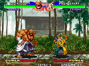 Ninja Master’s: Haou Ninpou-ko