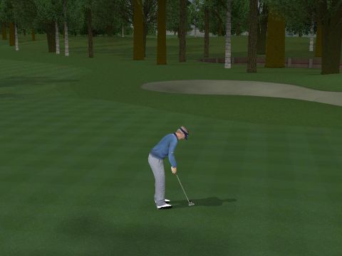 ProStroke Golf: World Tour 2007
