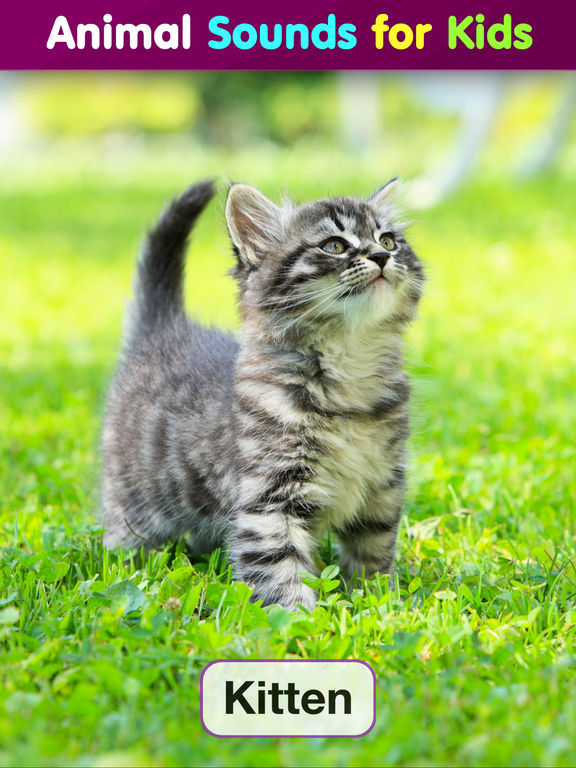 Toddler Flashcards HD: Baby Learning Games &amp; Apps