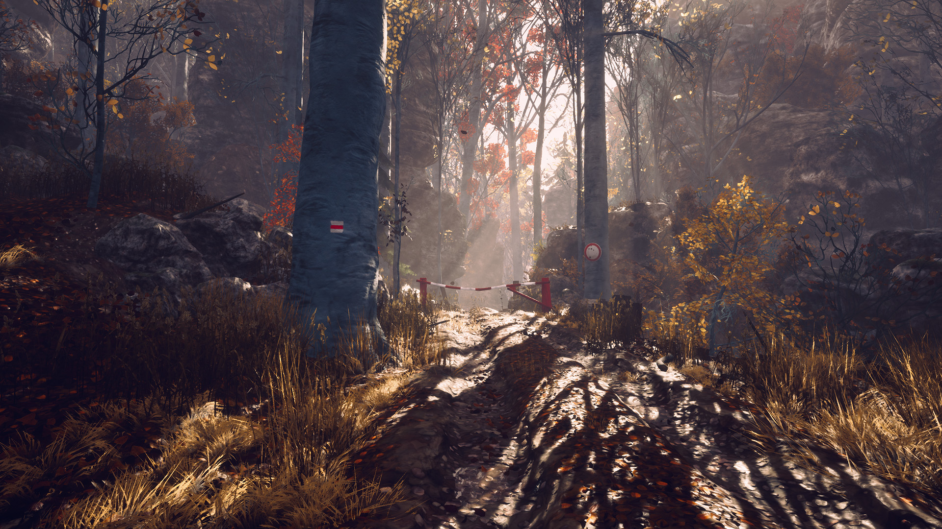 Someday You’ll Return