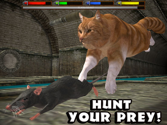 Ultimate Cat Simulator