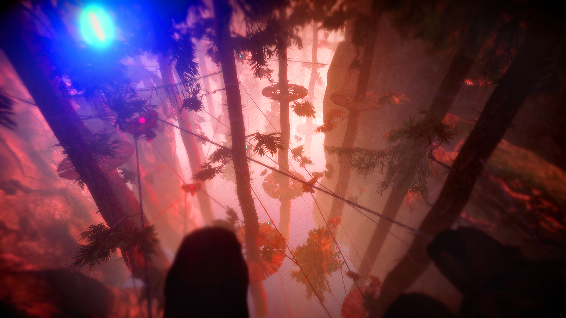 Light &amp; Dark Bundle