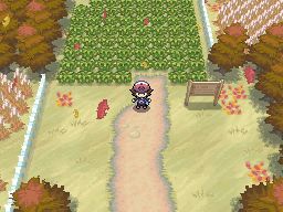 Pokémon Black Version
