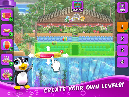 My Dolphin Show