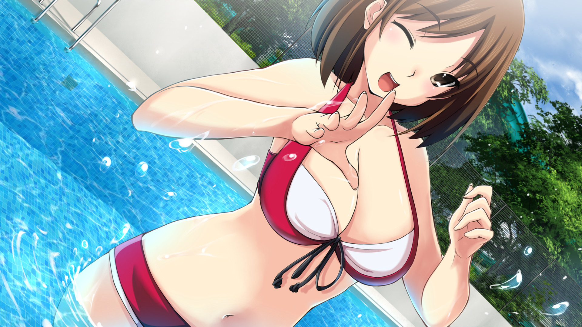 Stay! Stay! Democratic People’s Republic of Korea