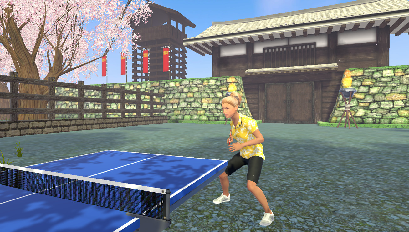 VR Ping Pong Paradise