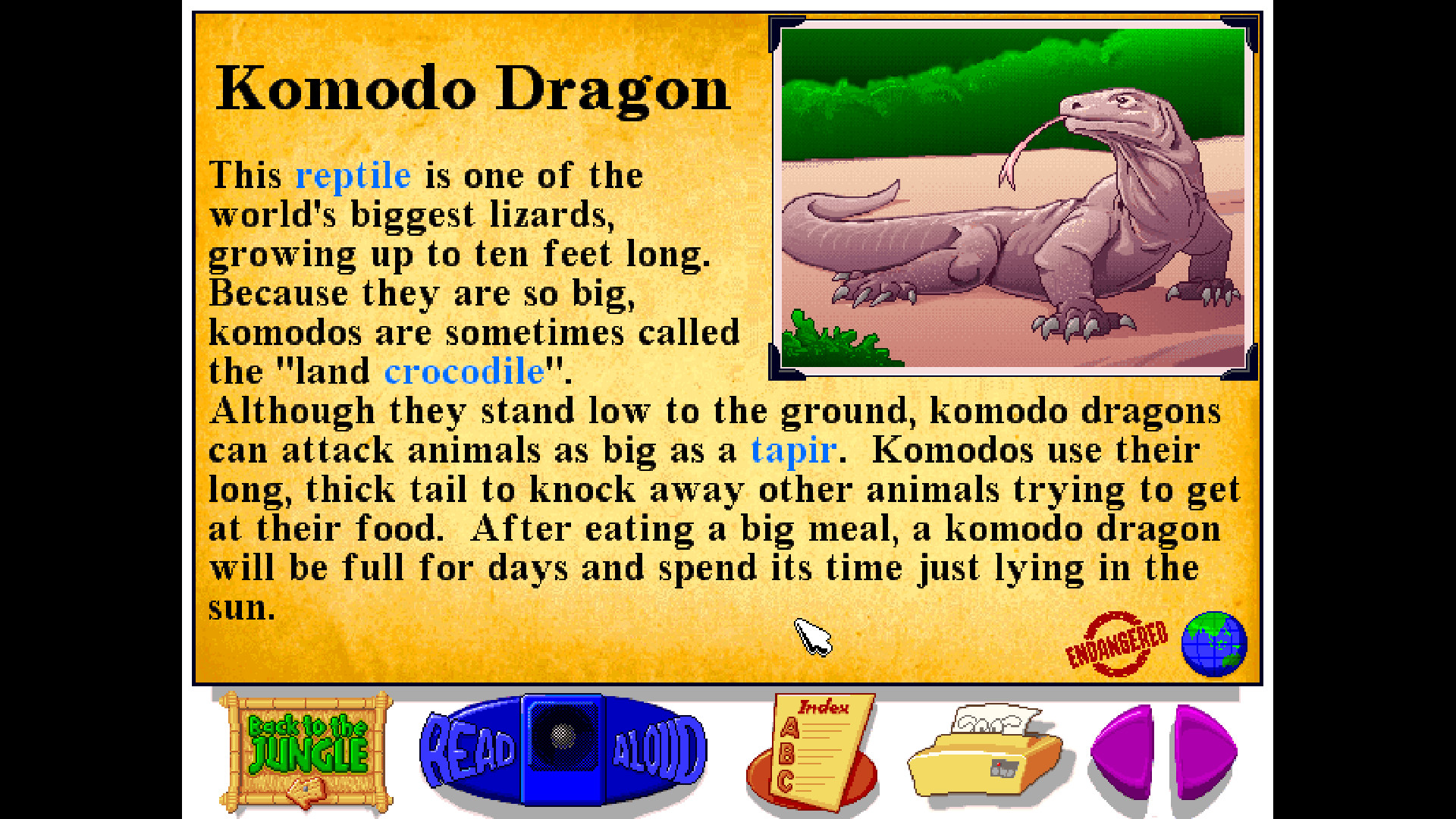 Let’s Explore the Jungle