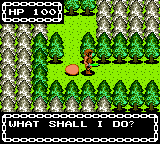 Dragon Crystal