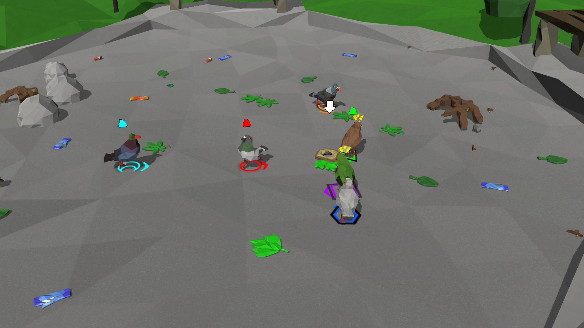 Pigeon Fight
