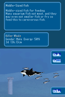 My Aquarium: Seven Oceans