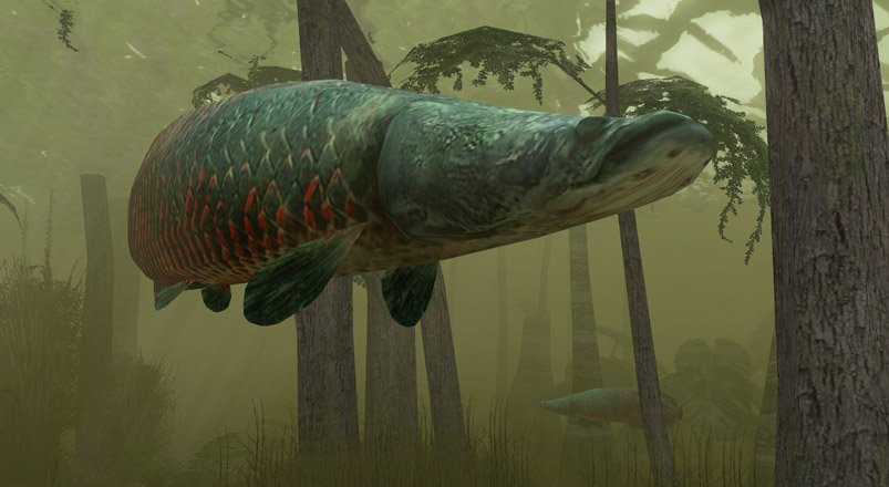 Endless Ocean: Blue World