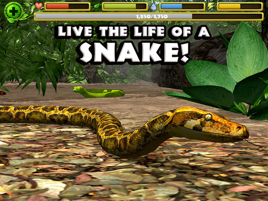 Snake Simulator