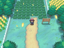 Pokémon Black Version