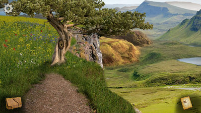 The Mystery of Blackthorn Castle