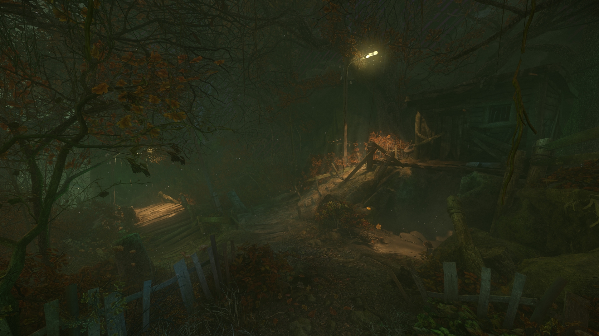 The Cursed Forest
