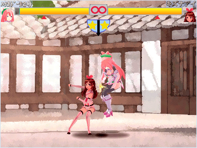 Model de Fight