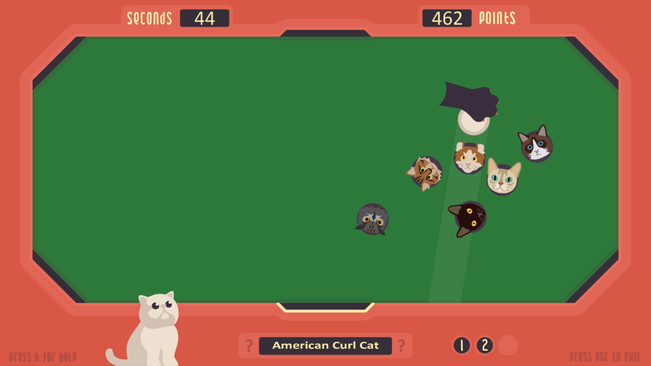 The Cat Games