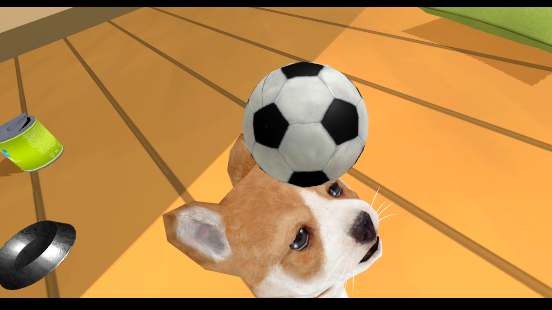 Puppy Doge VR