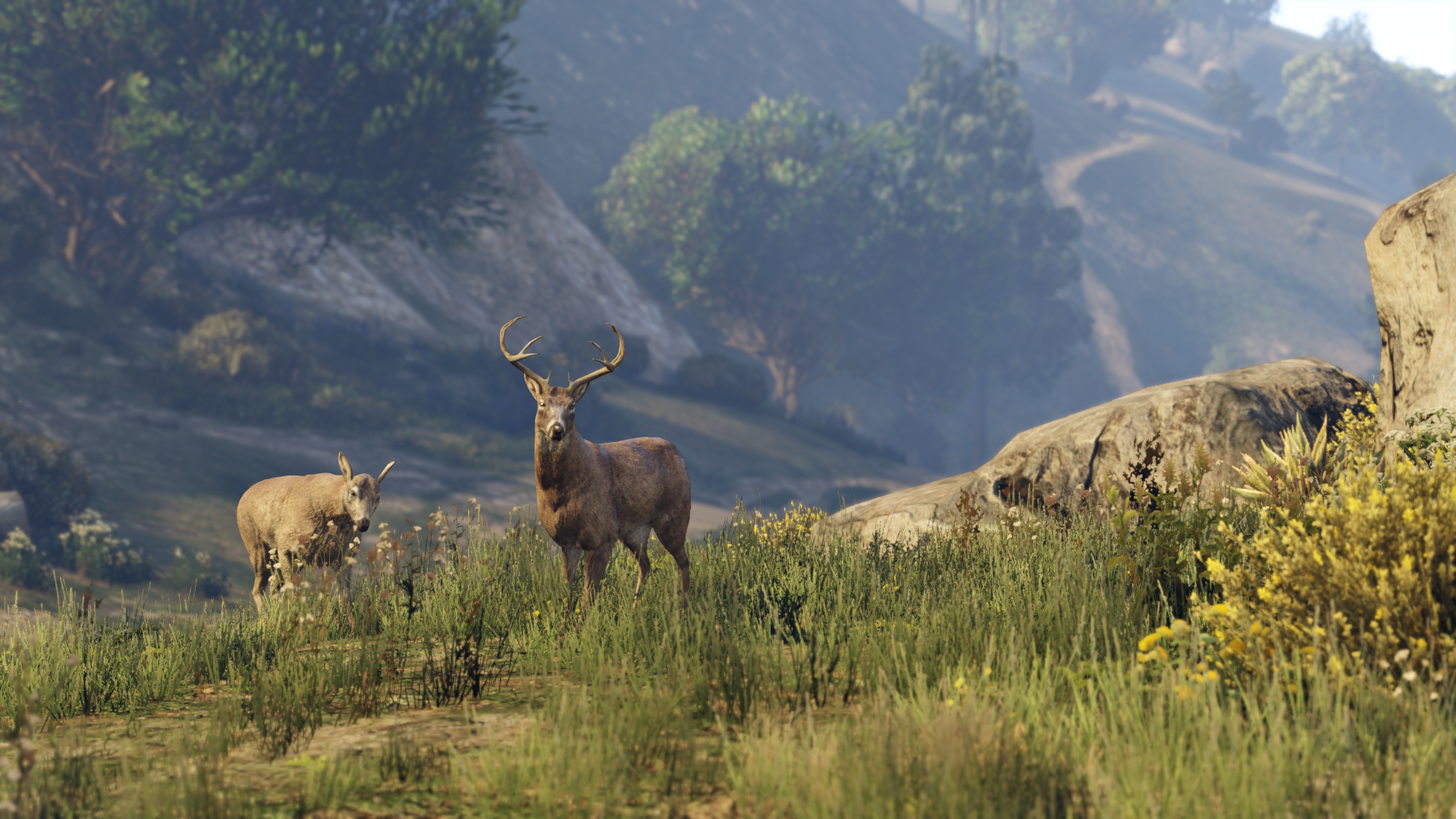 Grand Theft Auto V: Premium Online Edition &amp; Whale Shark Card Bundle