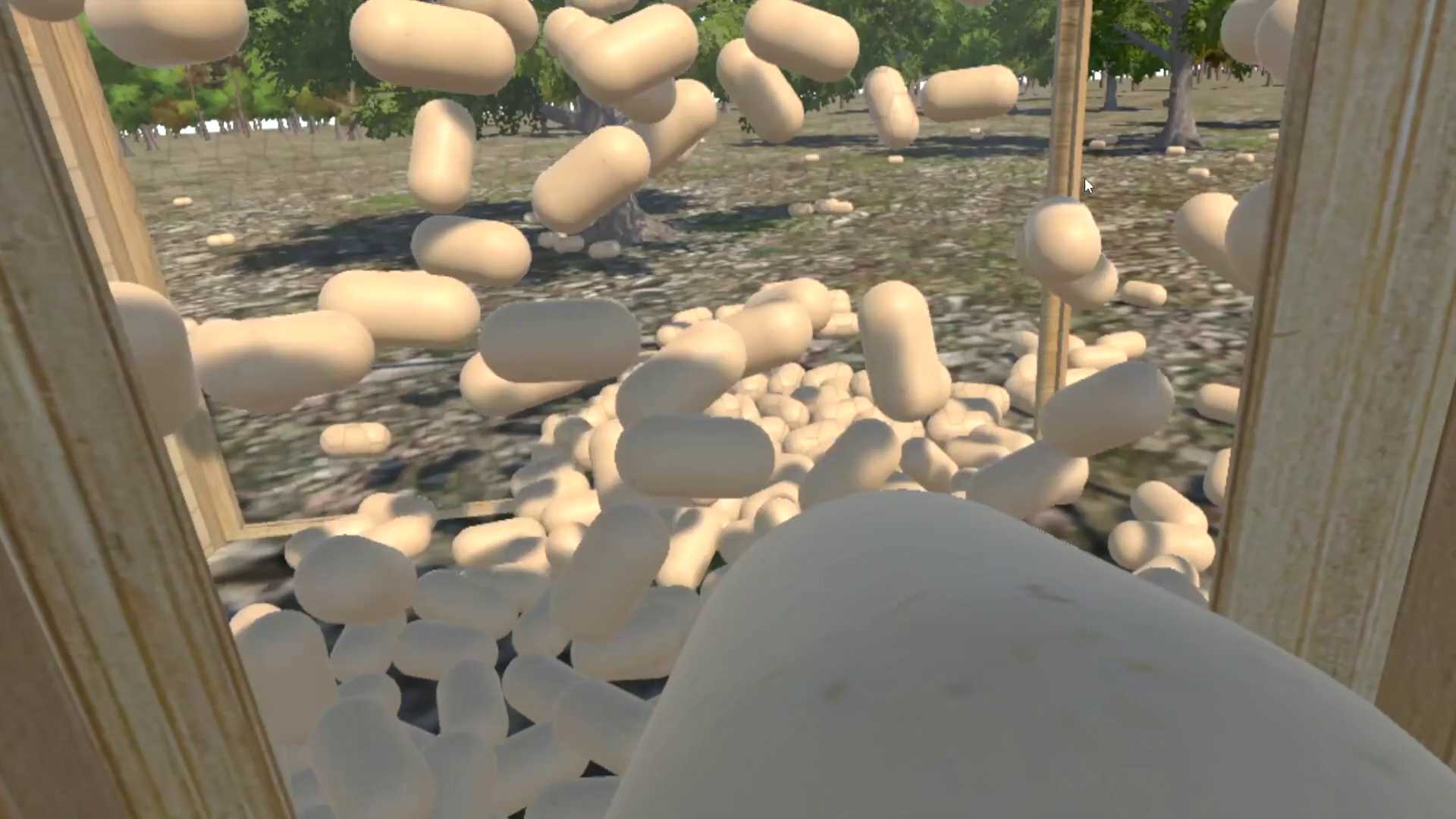 Chicken VR