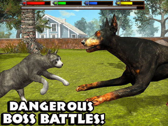 Ultimate Cat Simulator