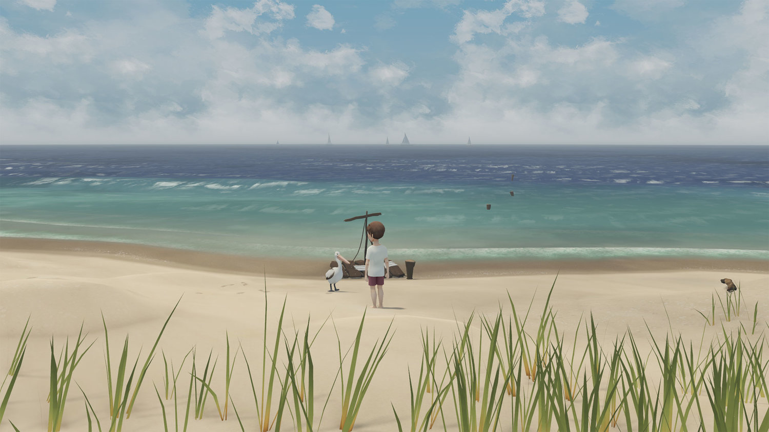 Storm Boy