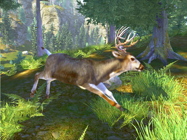 Cabela’s Trophy Bucks