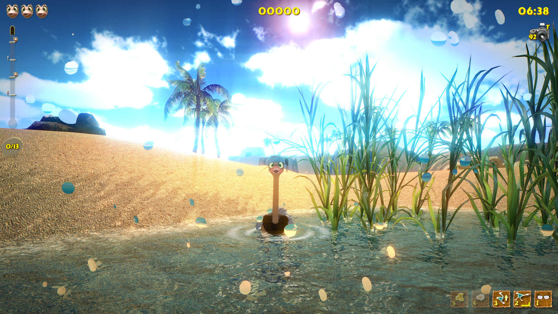 Ostrich Island