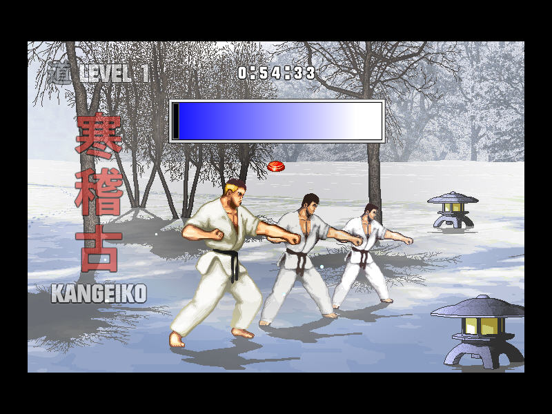Karate Master Knock Down Blow