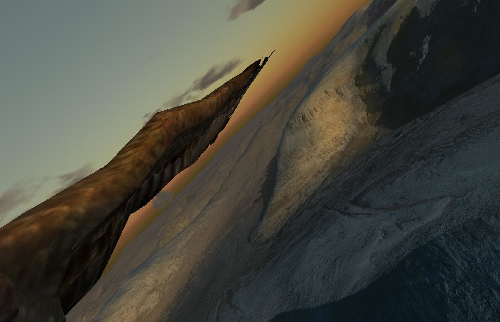 Aquila Bird Flight Simulator