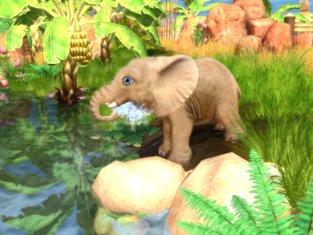 Wildlife Camp