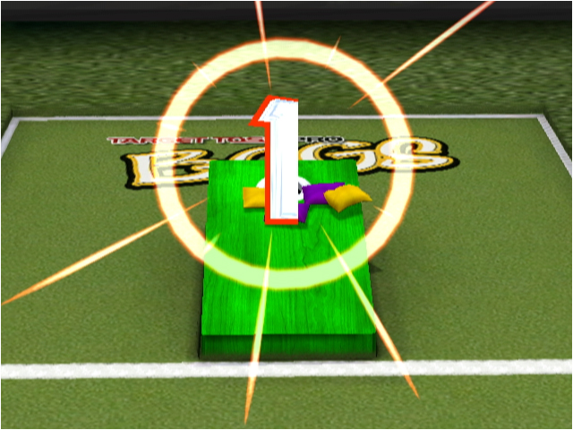 Target Toss Pro: Bags