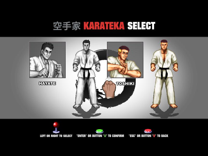Karate Master Knock Down Blow