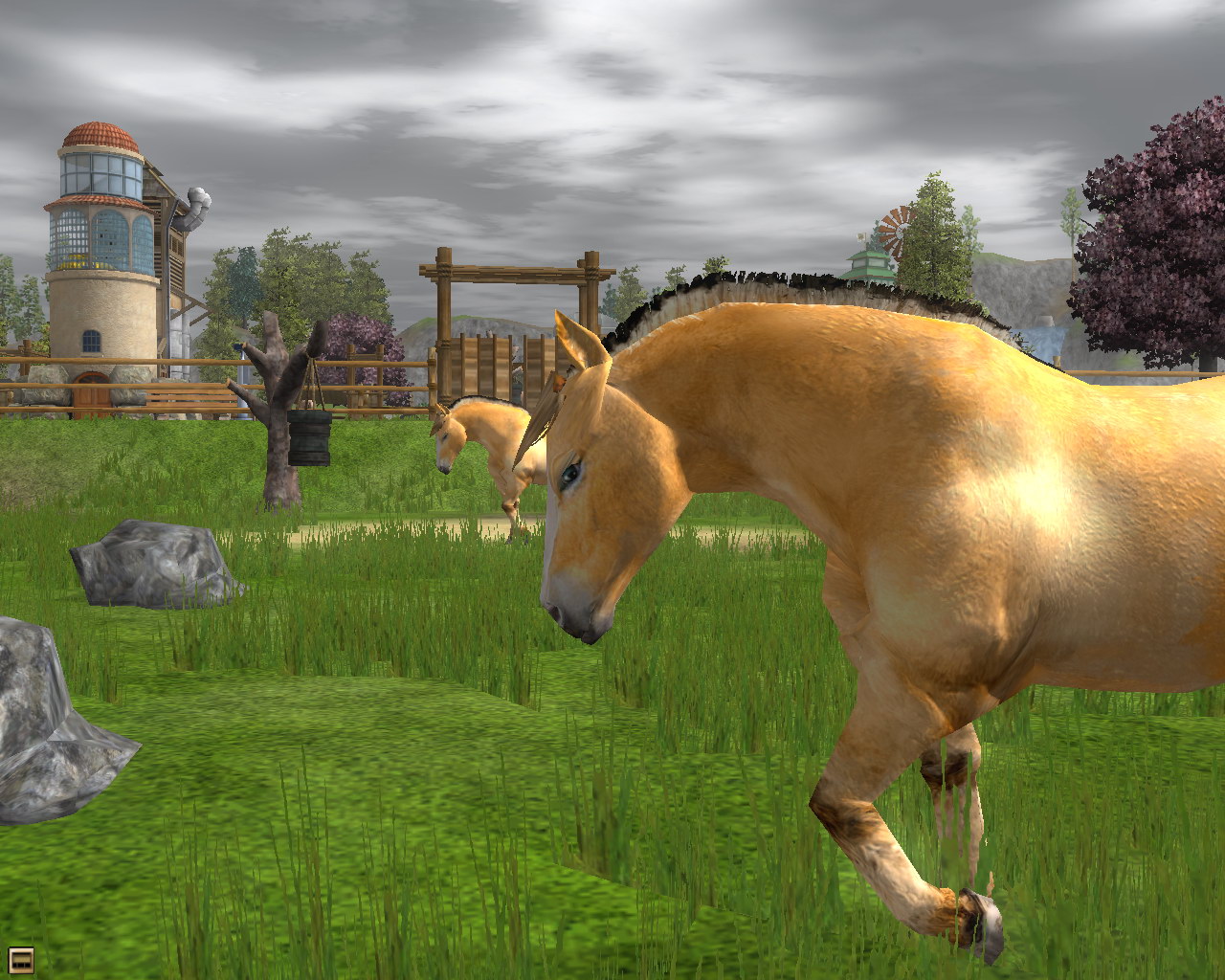 Wildlife Park 2 – Horses