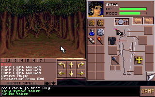 Eye of the Beholder III: Assault on Myth Drannor