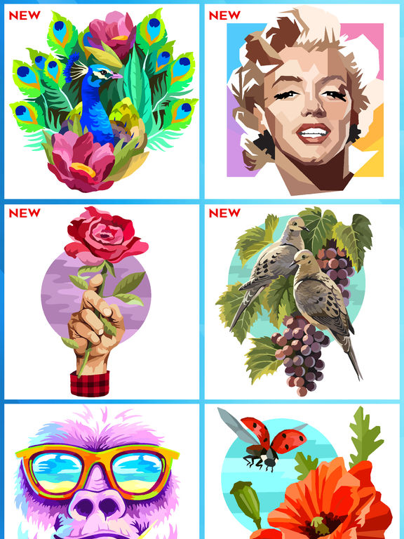 Color by Number – Puzzle