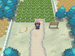 Pokémon Black Version